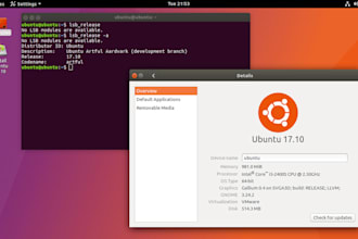 set up ubuntu, kali linux, windows on virtualbox or vmware
