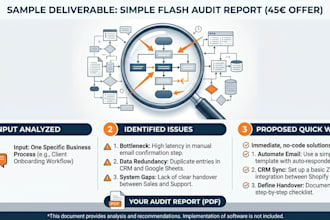 conduct your business flash audit