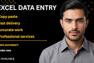 do excel data entry and spreadsheet work professionally