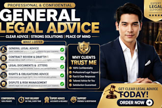 provide professional general legal advice, legal consultation, contract review