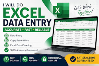 do excel data entry, cleaning, formatting and dashboard work