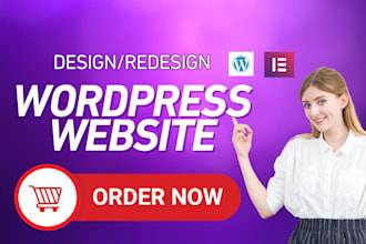 do wordpress website development design or redesign wordpress blog website