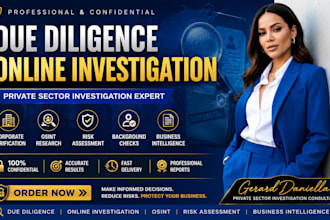 provide professional due diligence and online investigation for private sector