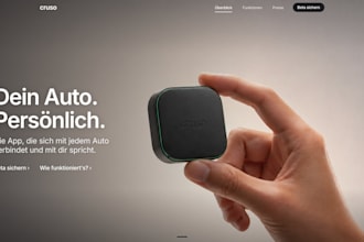 build a professional website or landing page