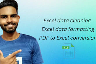 cleaning, formatting, PDF to excel conversion excel data
