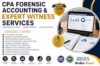provide CPA affidavit of merit, expert witness review forensic accounting report