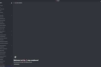 design a professional and automated discord server