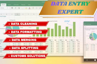 clean, format and organize excel data