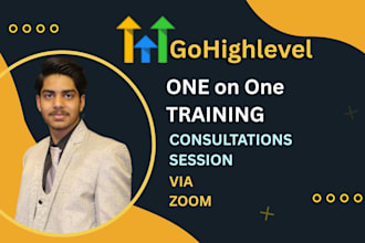 provide you go high level consultation and gohighlevel training