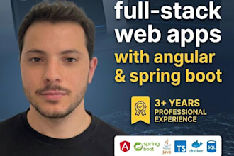develop a professional fullstack web application