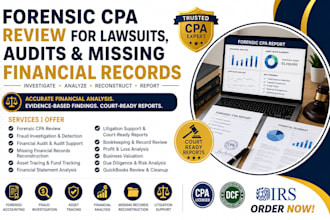provide forensic CPA review for lawsuits, audits, missing financial records