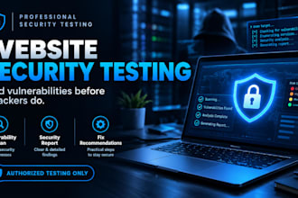 do website security testing and vulnerability assessment