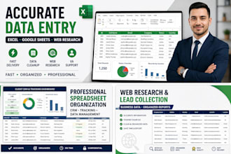 do accurate data entry and excel data cleanup