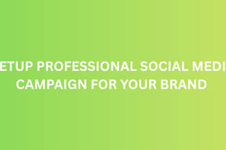 setup professional social media campaign for your brand