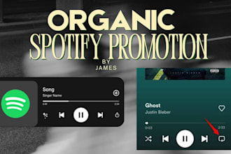 do spotify album promotion, spotify music track promotion
