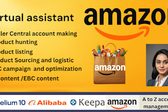 be expert amazon fba listing PPC campaign VA