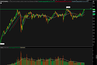 code you custom strategy and indiator for thinkorswim