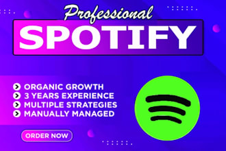 do organic USA spotify music promotion
