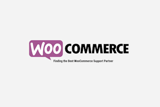provide wordpress woocommerce and shopify website support