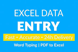 do fast excel data entry  word typing 24h delivery