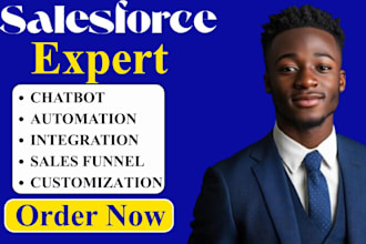 salesforce developer salesforce admin salesforce admin salesforce solution