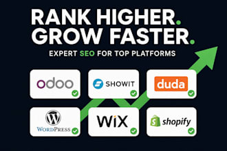 do SEO optimization for odoo, showit, duda, wordpress, wix or shopify website
