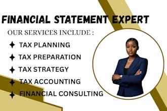 provide professional tax planning, financial consulting, and tax accounting