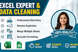do professional excel data entry,datacleaning and formatting
