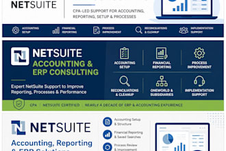 provide netsuite accounting and erp consulting