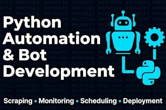 build a custom python automation bot or web scraping tool