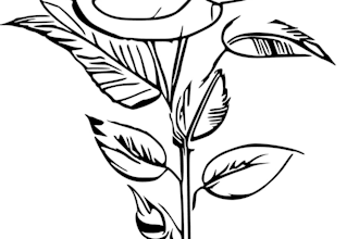 design creative full body tattoo concept