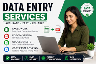 do accurate data entry and excel work