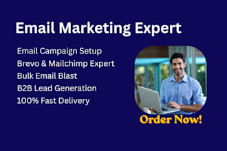 send bulk email blast, cold emails and email campaign