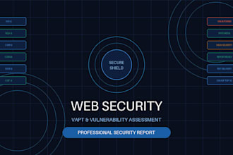 perform vapt and deliver a professional web application security report