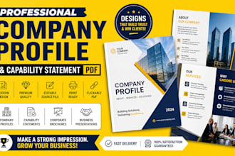 create a professional company profile capability statement PDF