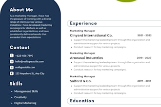 create professional resume for your career