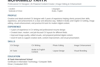 design a professional CV resume for you