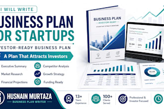 write professional business plan for startups and investors
