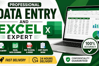 do professional data entry and microsoft excel tasks