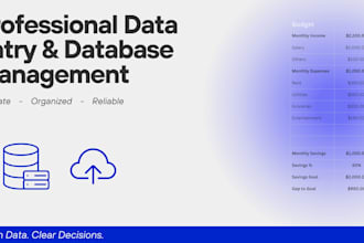 do accurate data entry and professional database management