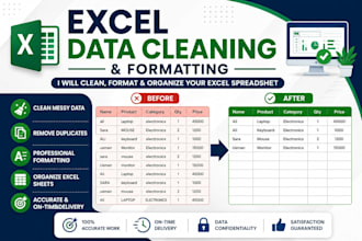 clean, format and organize your excel spreadsheet