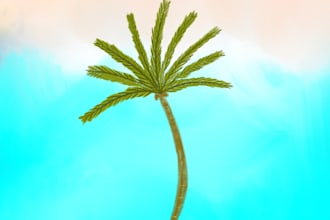create tropical beach inspired surface patterns