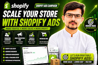 high converting shopify ads campaign setup for dropshipping store