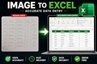 do data entry and convert image to excel fast