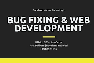 fix bugs and build responsive websites