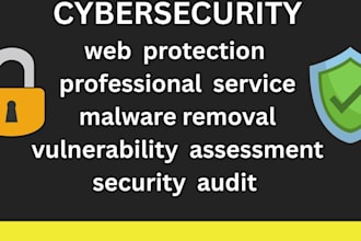 provide professional cybersecurity audit and web security