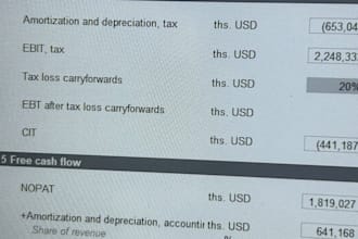 make any kind of financial model