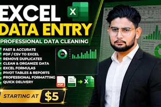 do data cleaning, excel data entry and pdf to excel