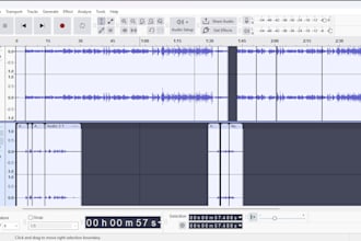 write record and compose original acoustic music for you