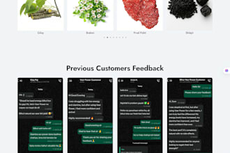 build a professional wordpress woocommerce ecommerce website